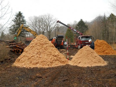 三井物産　北海道で木質バイオマス事業を開始